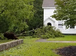 Storm damage fallen trees